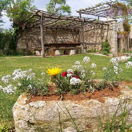 Arbalovija 1
